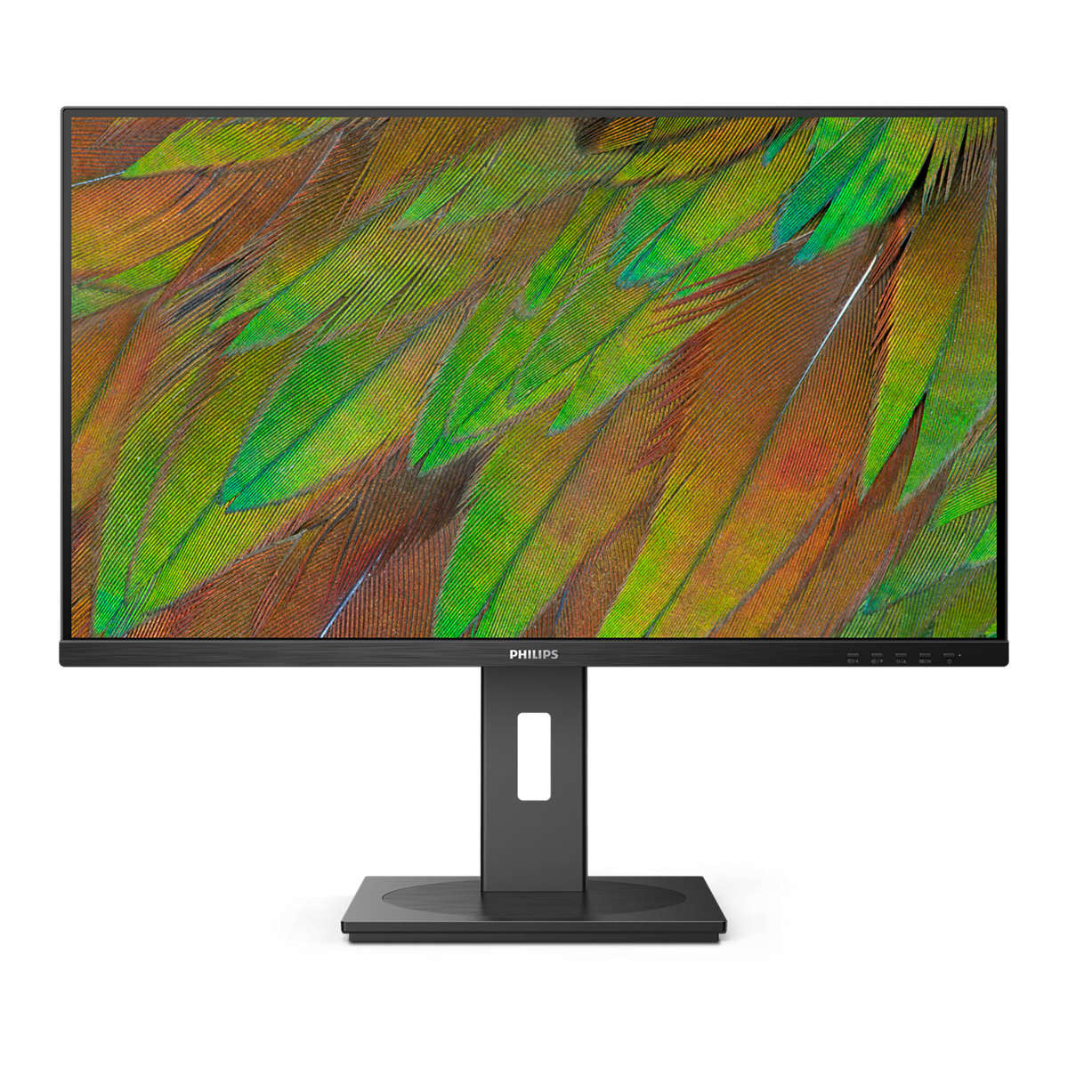 Philips 32B1N3800/00 Monitor PC 32 pollici