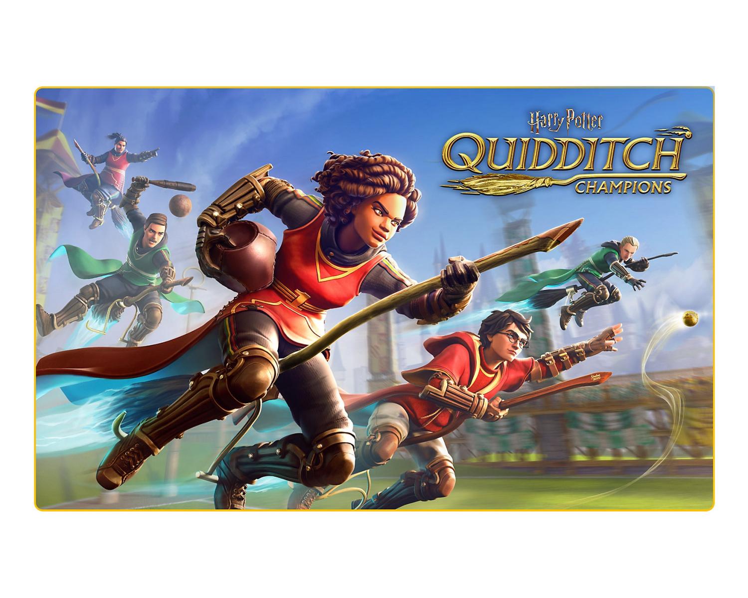 Warner Bros Harry Potter Campioni di Quidditch PS5