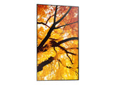 Sharp MultiSync M502 Pannello piatto per segnaletica digitale 127 cm (50") LCD 550 cd/m² 4K Ultra HD Nero 24/7