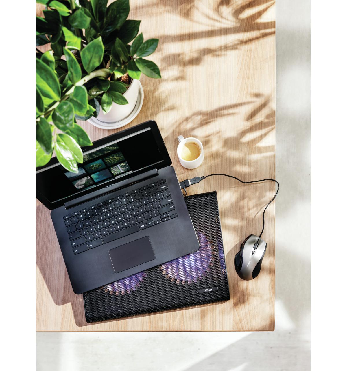 Trust 20104 base di raffreddamento per laptop 43,9 cm (17.3") Nero