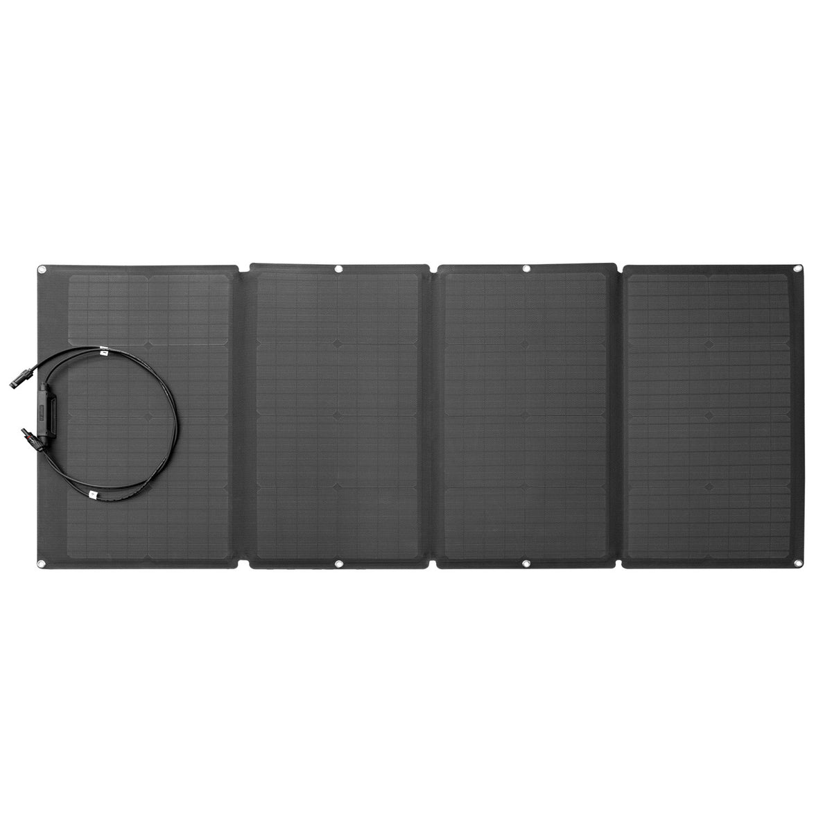 EcoFlow 50033001 Pannello Solare da 160W Pieghevole con Borsa Nero