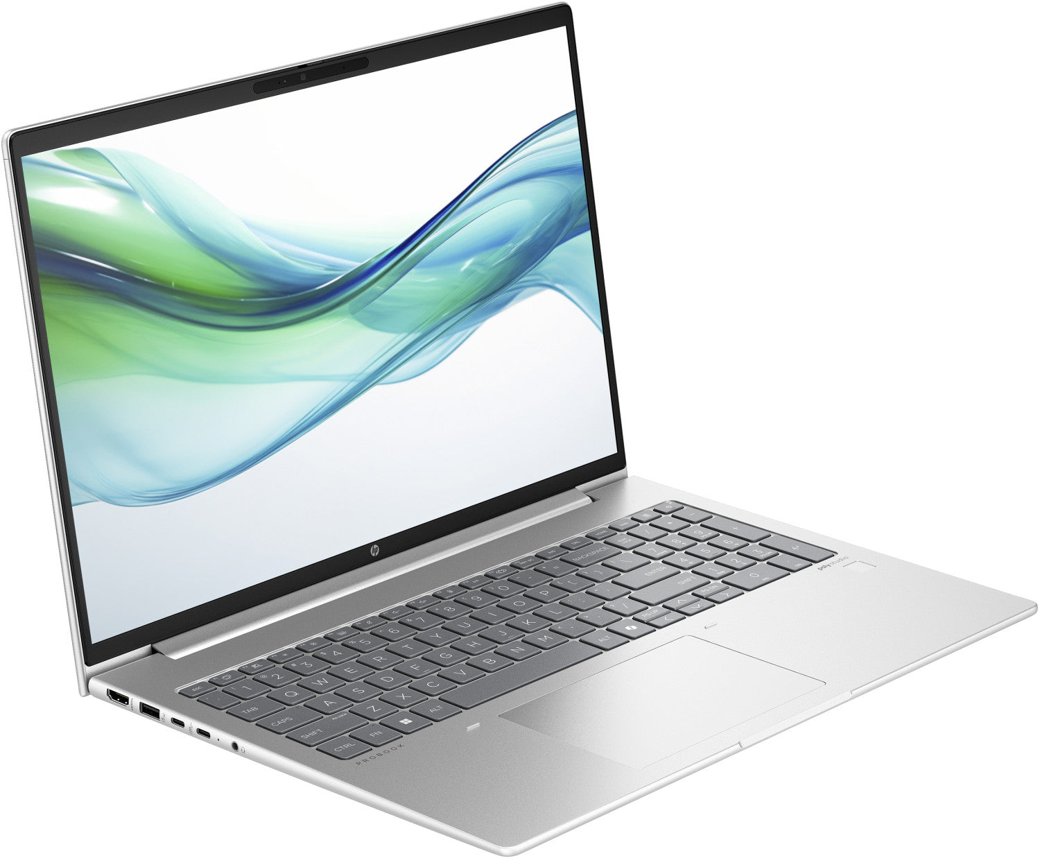 HP ProBook 460 G11 Intel Core Ultra 5 125U Computer portatile 40,6 cm (16") WUXGA 16 GB DDR5-SDRAM 512 GB SSD Wi-Fi 6E (802.11ax) Windows 11 Pro Argento