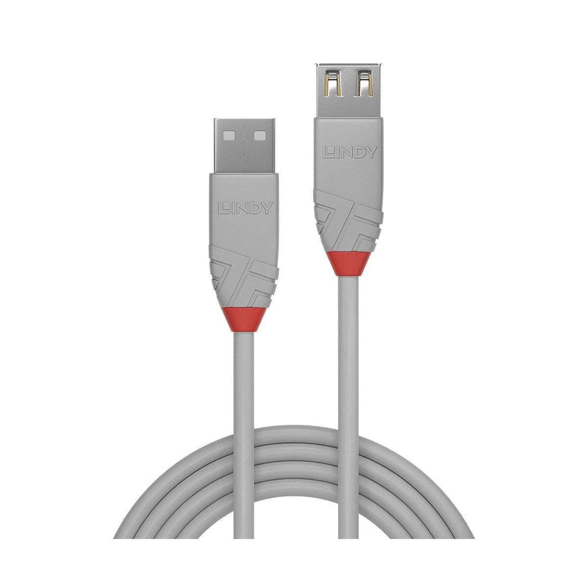 Lindy 36710 cavo USB USB 2.0 0,2 m USB A Grigio