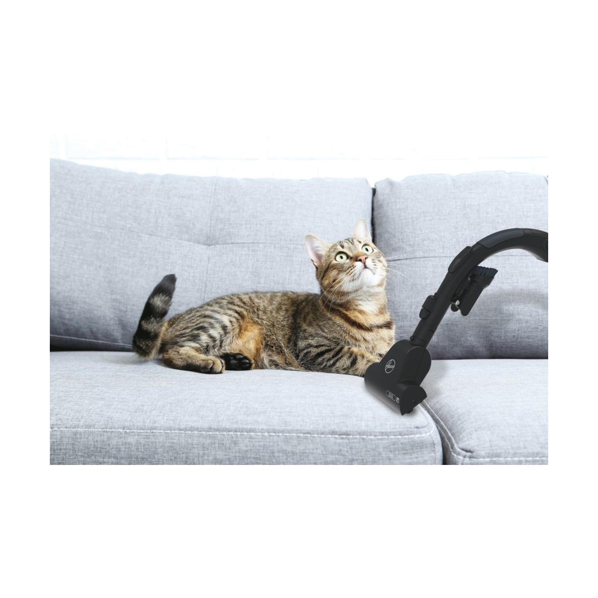 Hoover H-ENERGY 700 HE720PET 011 6 L A cilindro Secco 850 W Sacchetto per la polvere