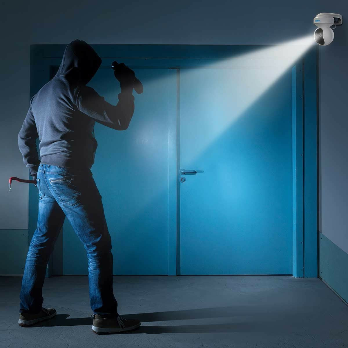 Reolink E Series E540 Cupola Telecamera di sicurezza IP Interno e esterno 2560 x 1920 Pixel Parete