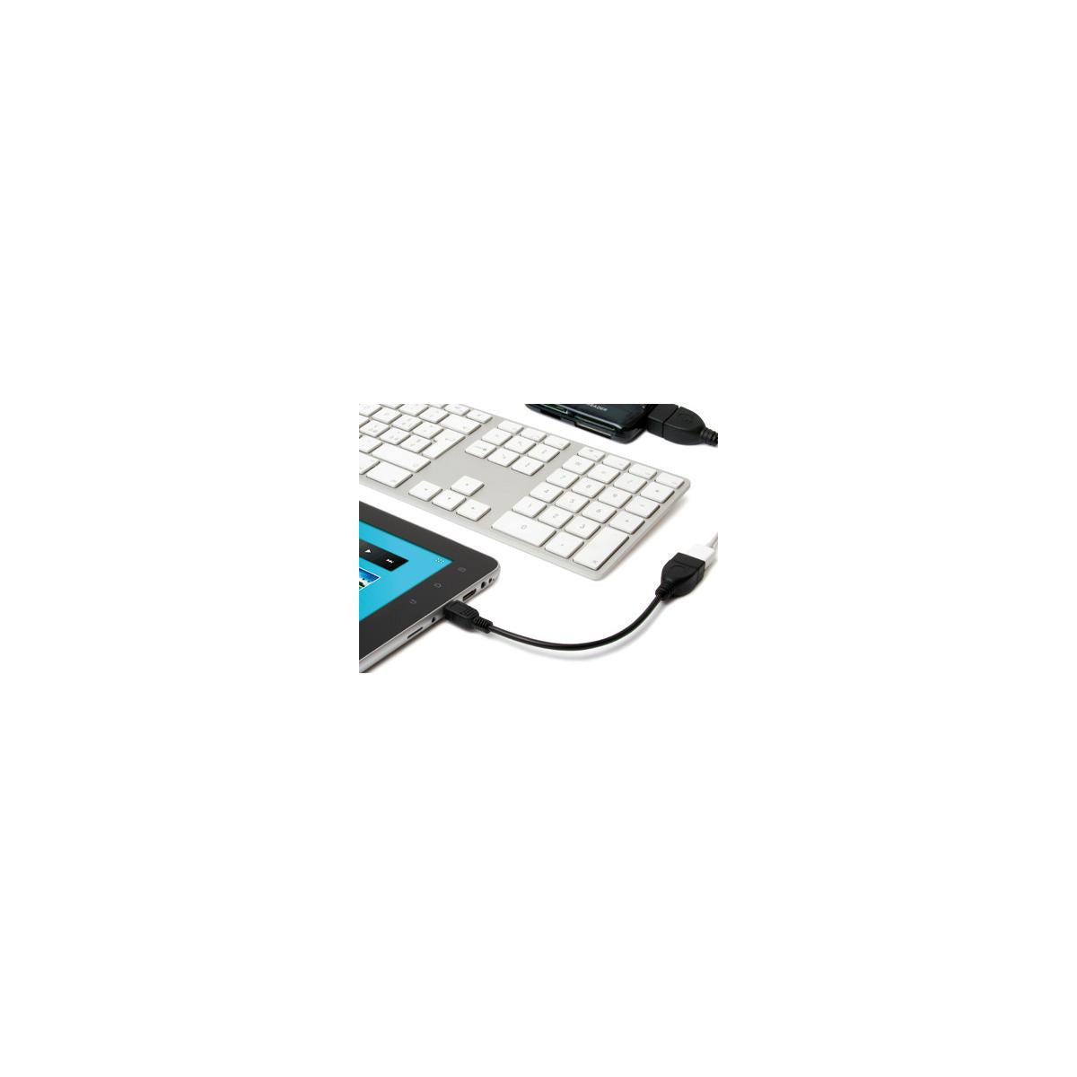 Hamlet Cavo Exagerate Zelig Pad Cable adattatore da mini usb ad usb femmina