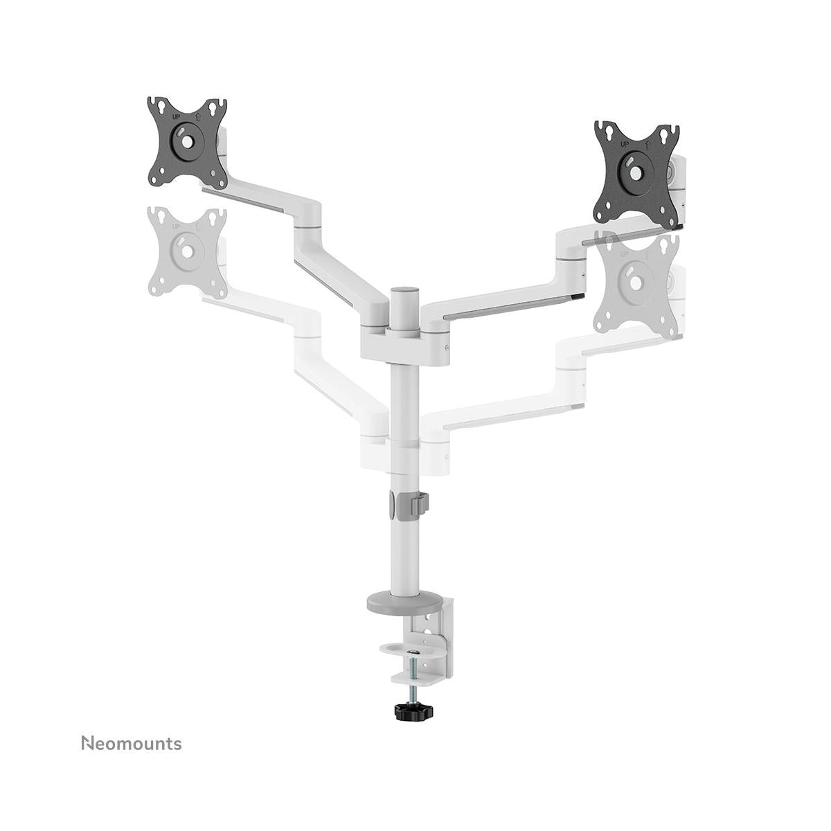 Neomounts supporto da scrivania Braccio per monitor full motion