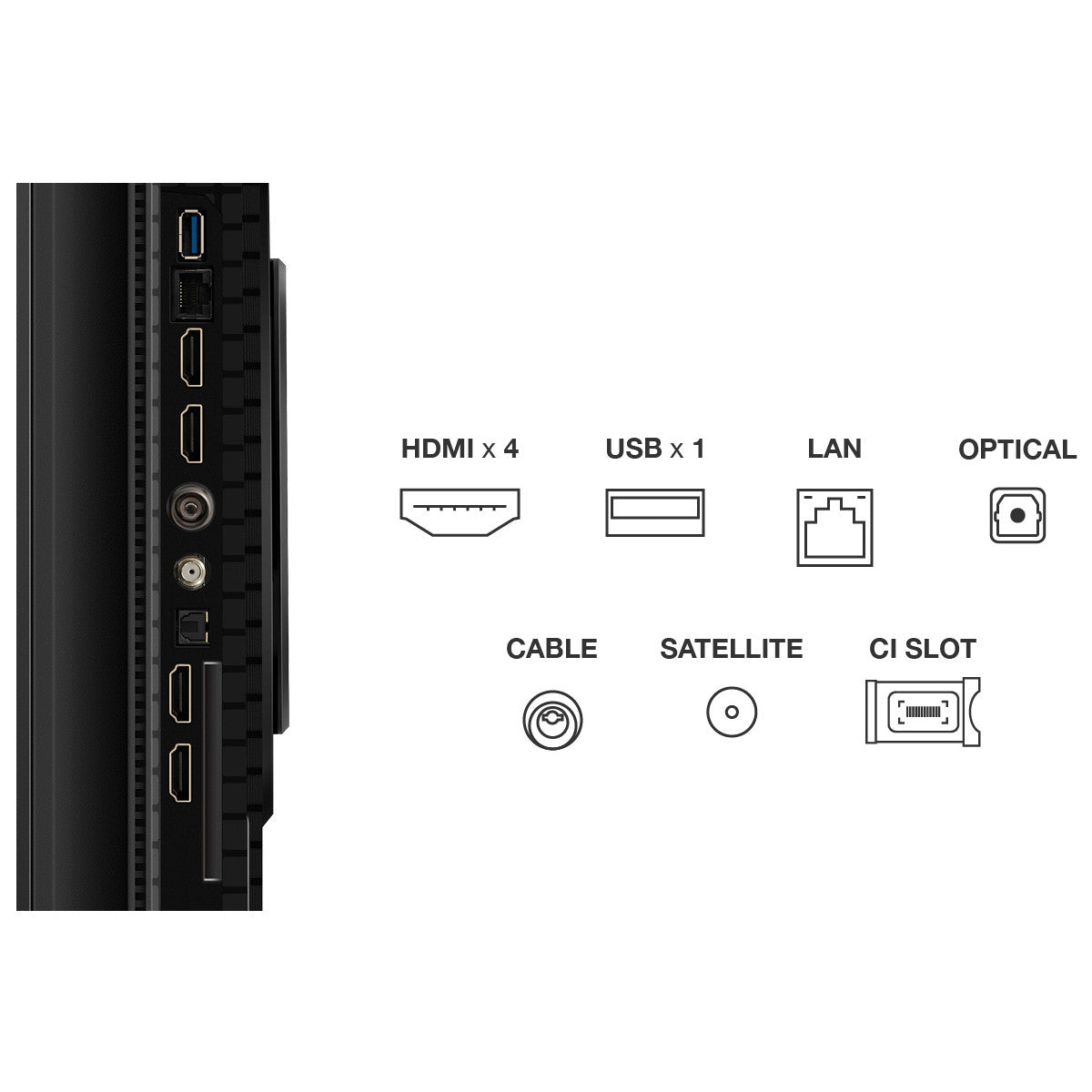 TCL P89K Serie Smart TV QLED 4K 55" 55P89K, 144Hz, audio Onkyo 2.1, Dolby Vision Atmos, Google TV