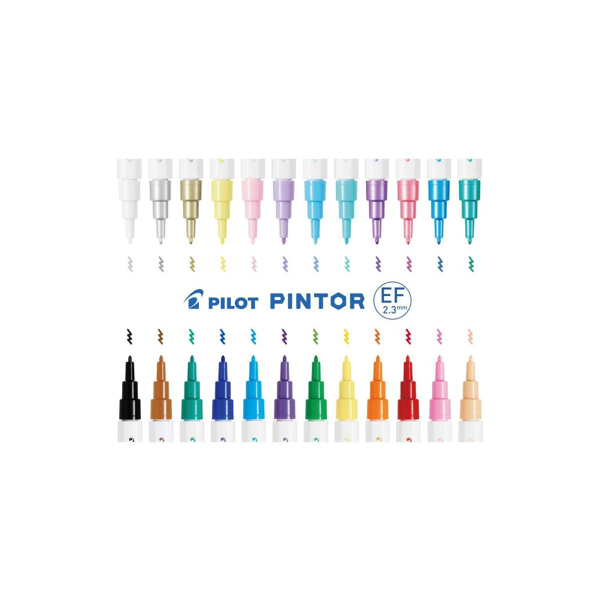 Pilot Pintor