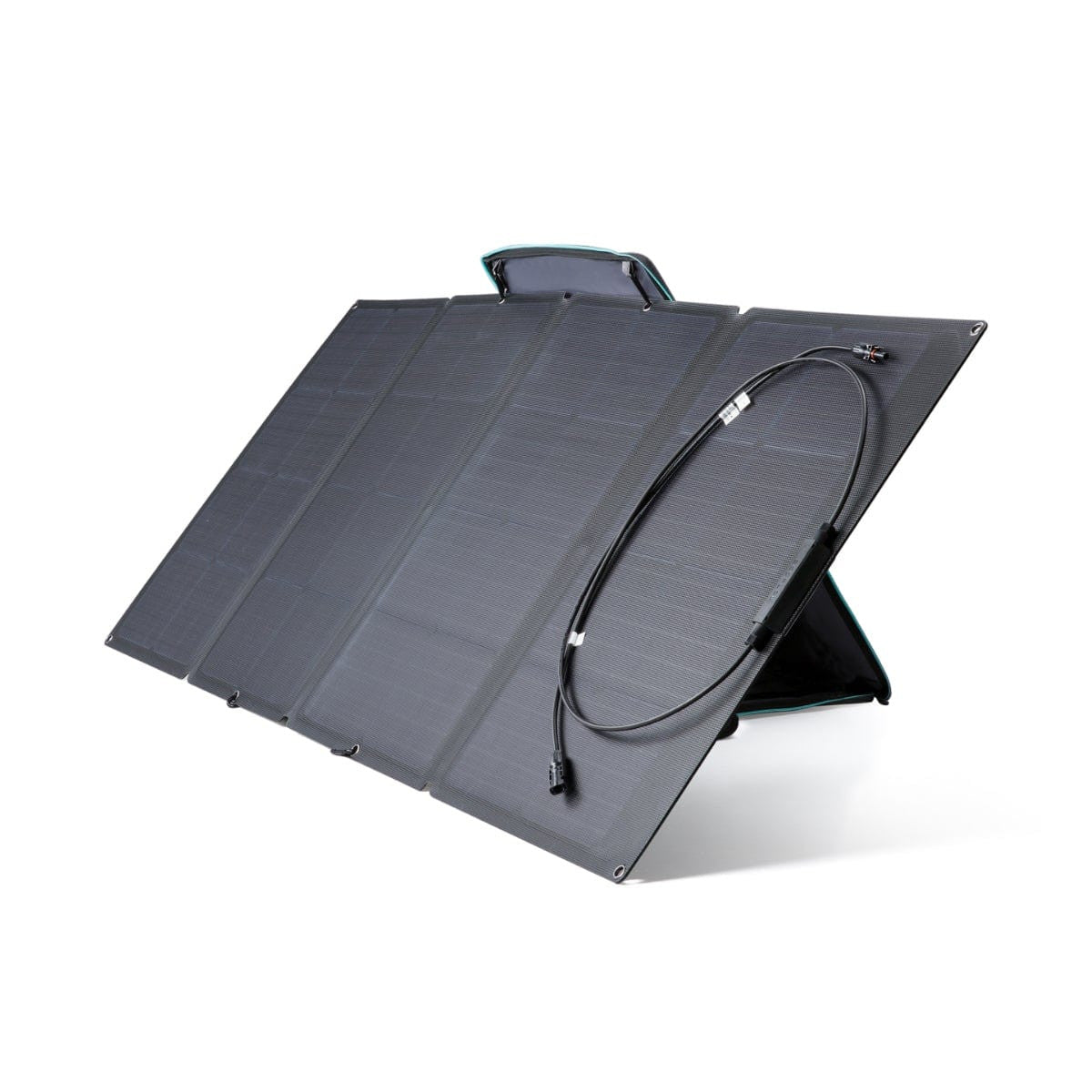 EcoFlow 50033001 Pannello Solare da 160W Pieghevole con Borsa Nero