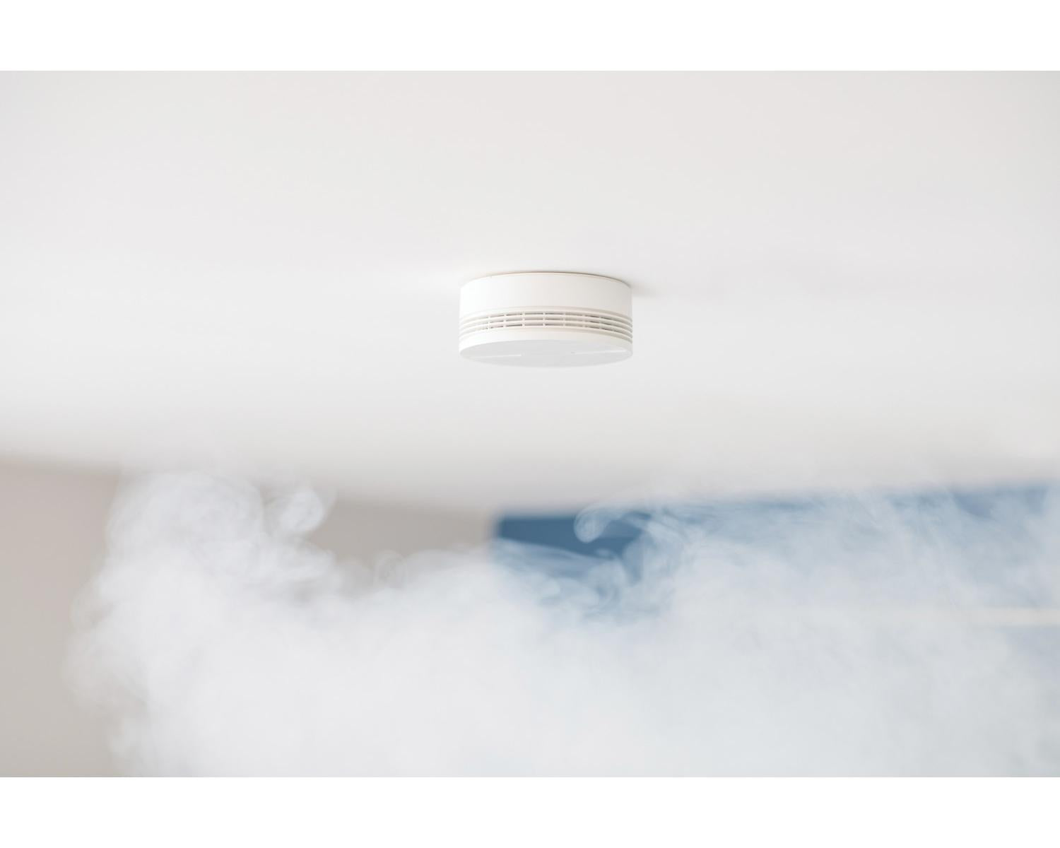 Netatmo Rivelatore di Fumo Intelligente