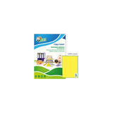 Tico LP4FG-210297 etichetta autoadesiva Rettangolo Permanente Giallo 70 pz