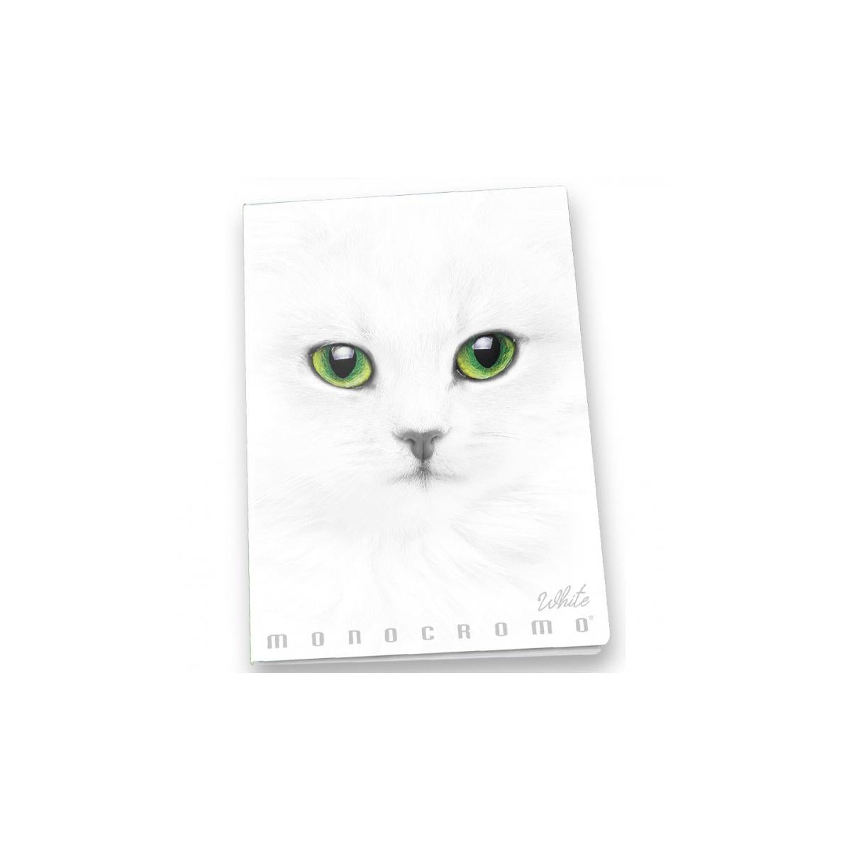 Pigna Monocromo quaderno per scrivere A4 19 fogli Bianco