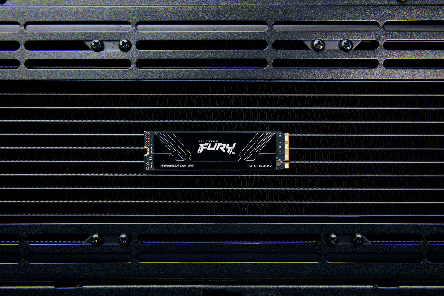 Kingston Technology 2T FURY RENEGADE G5 M.2 2280 NVMe SSD