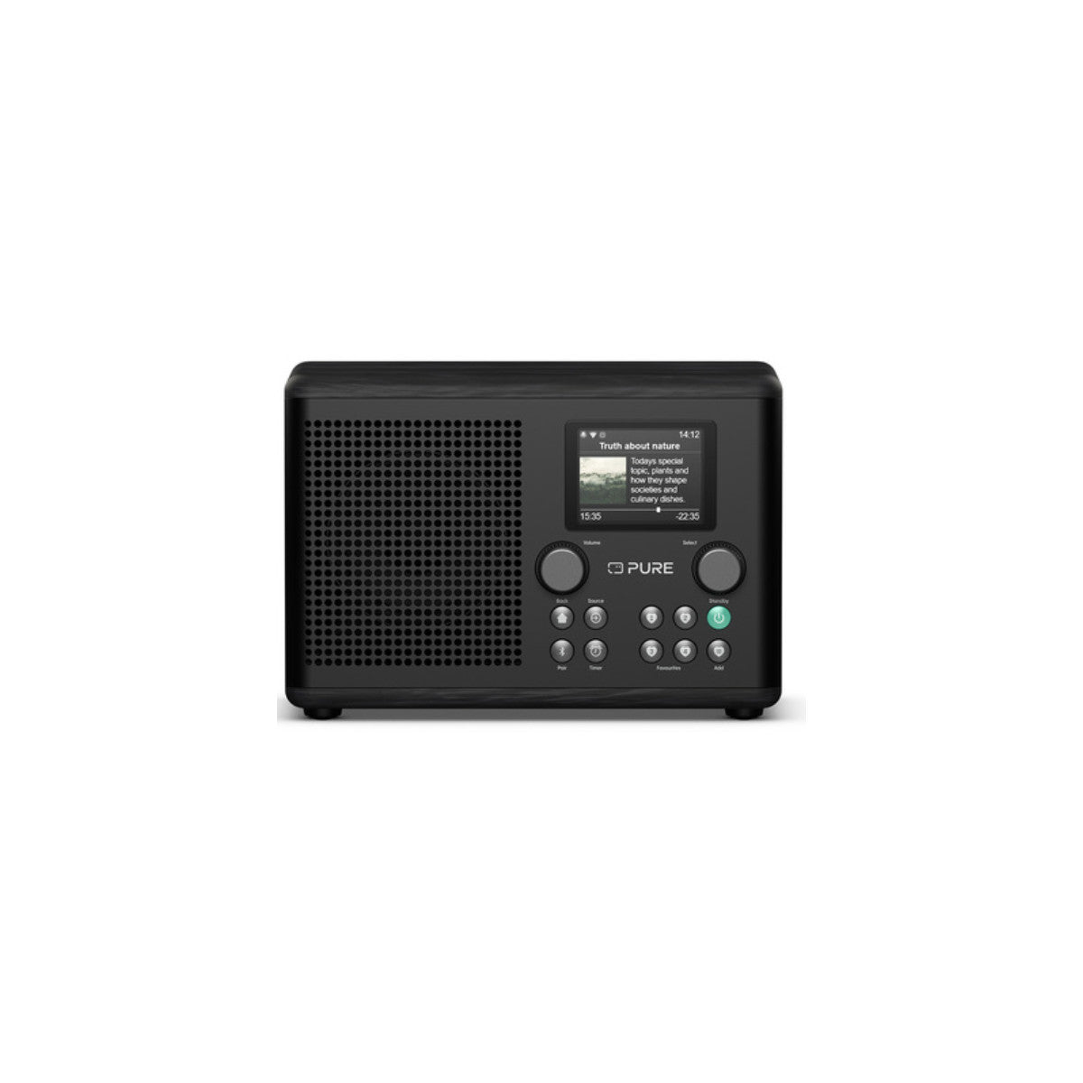 Pure 254585 radio