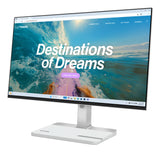 Lenovo L24D-4C Monitor