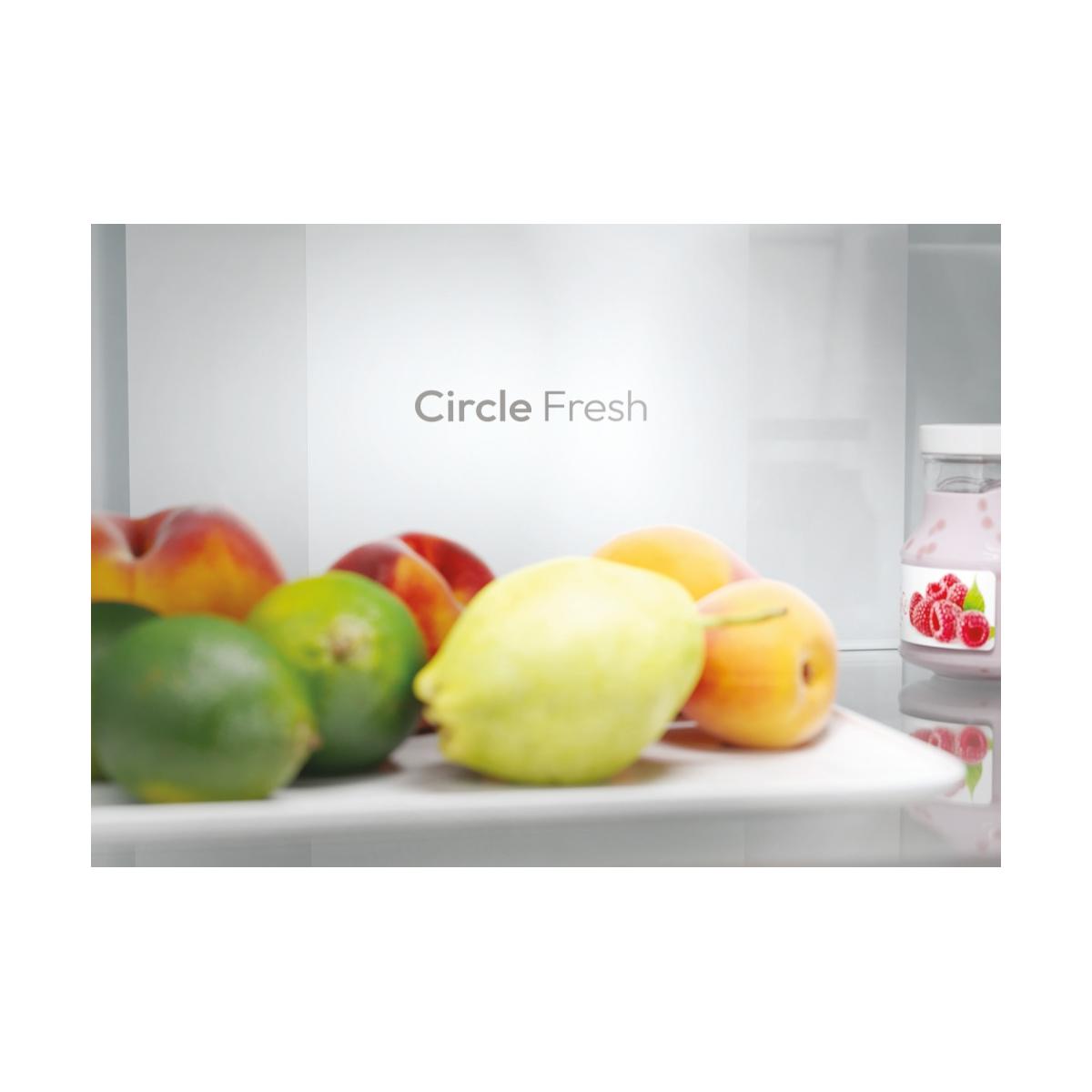 Candy Fresco CNCQ2T618EX Libera installazione 355 L E Acciaio inox
