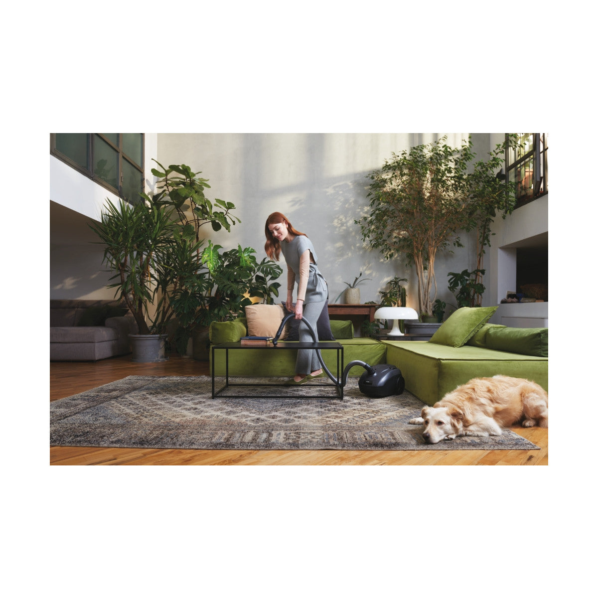 Hoover HE120PET 011 aspirapolvere 2,5 L A cilindro Secco 700 W Sacchetto per la polvere