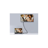 Equip 119333 cavo DisplayPort 3 m Nero