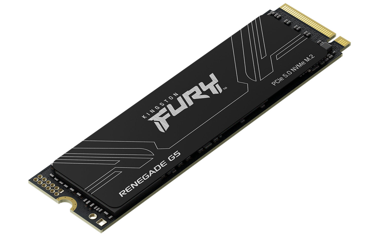 Kingston Technology 2T FURY RENEGADE G5 M.2 2280 NVMe SSD