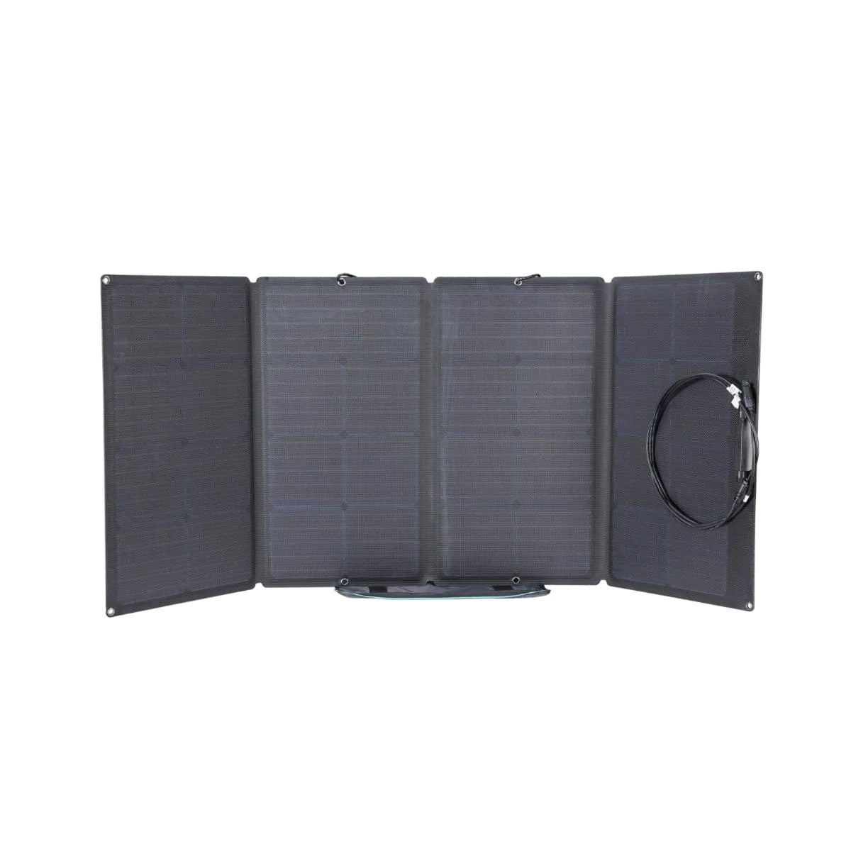 EcoFlow 50033001 Pannello Solare da 160W Pieghevole con Borsa Nero