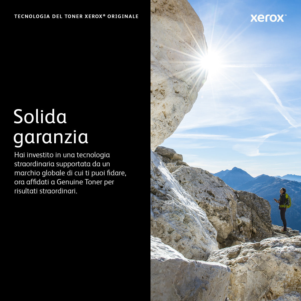 Xerox 006R04376 cartuccia toner 1 pz Originale