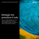 Xerox 106R02307 cartuccia toner 1 pz Originale