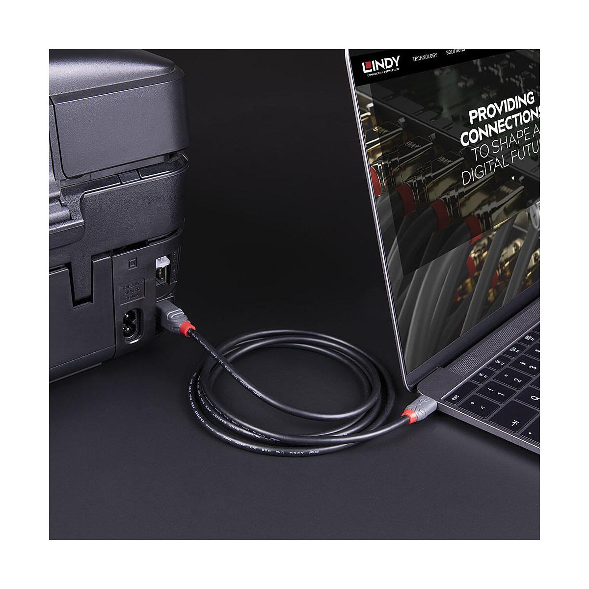Lindy 36665 cavo USB USB 3.2 Gen 1 (3.1 Gen 1) 0,5 m USB C USB B Nero