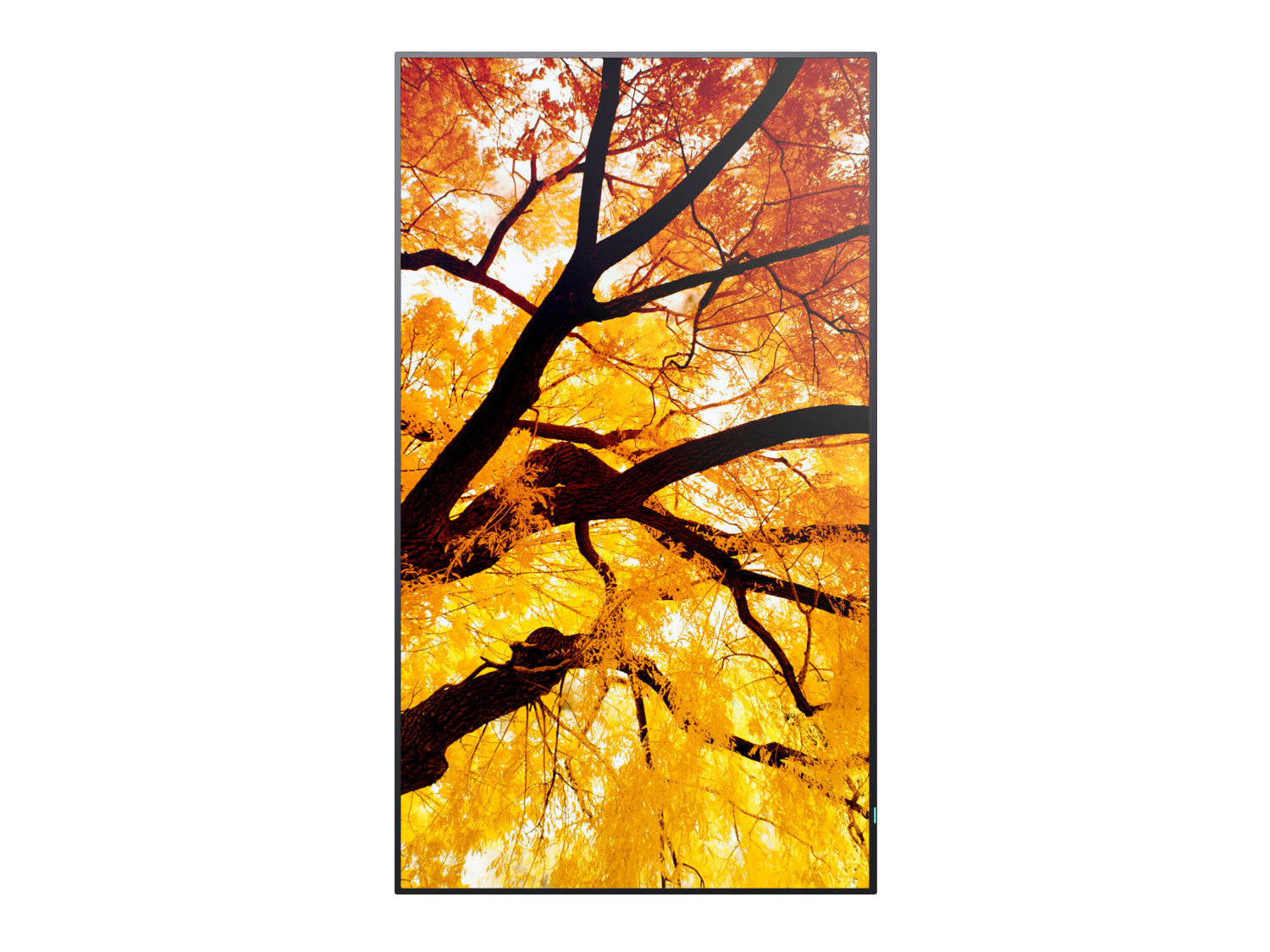 Sharp MultiSync M502 Pannello piatto per segnaletica digitale 127 cm (50") LCD 550 cd/m² 4K Ultra HD Nero 24/7