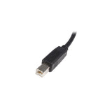StarTech.com Cavo USB 2.0 per Stampante tipo A/B maschio - maschio - Cavo USB 2.0 A-B 5m - M/M