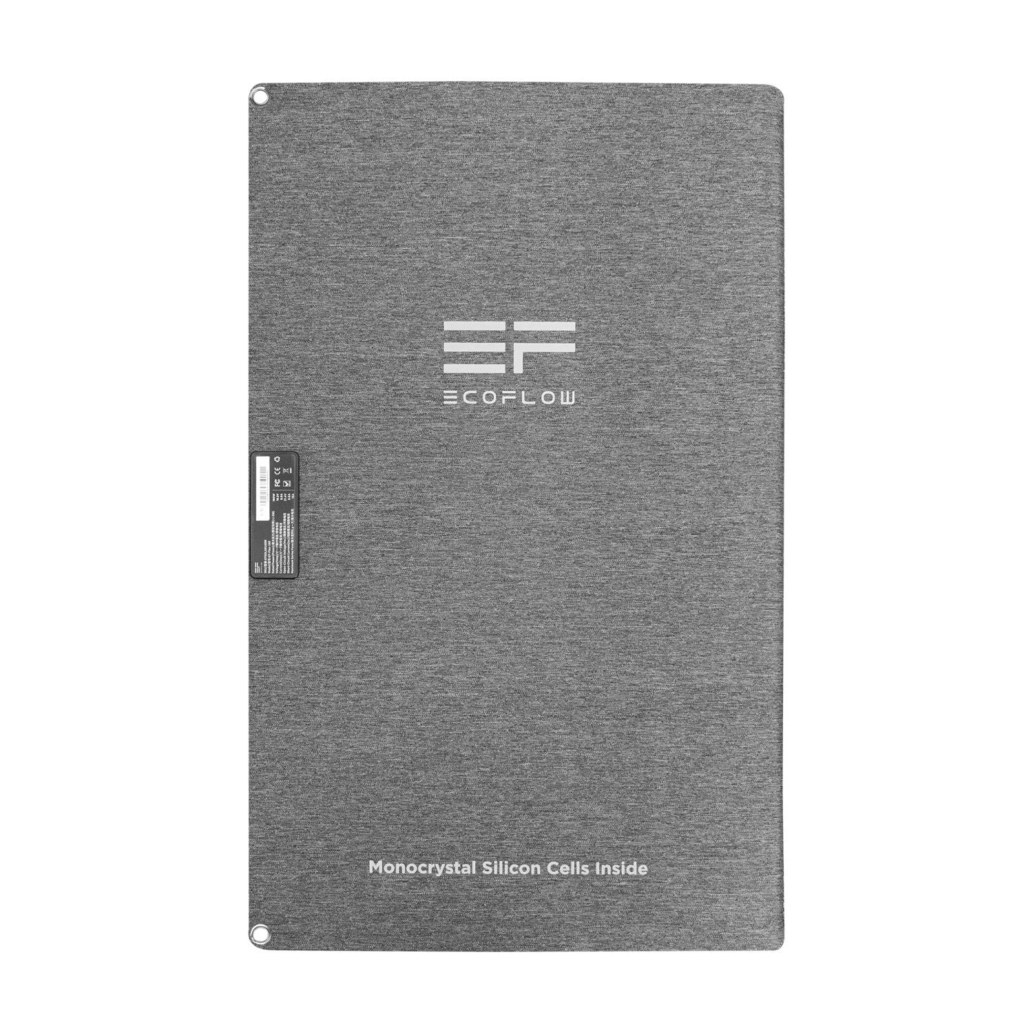 EcoFlow 50033001 Pannello Solare da 160W Pieghevole con Borsa Nero