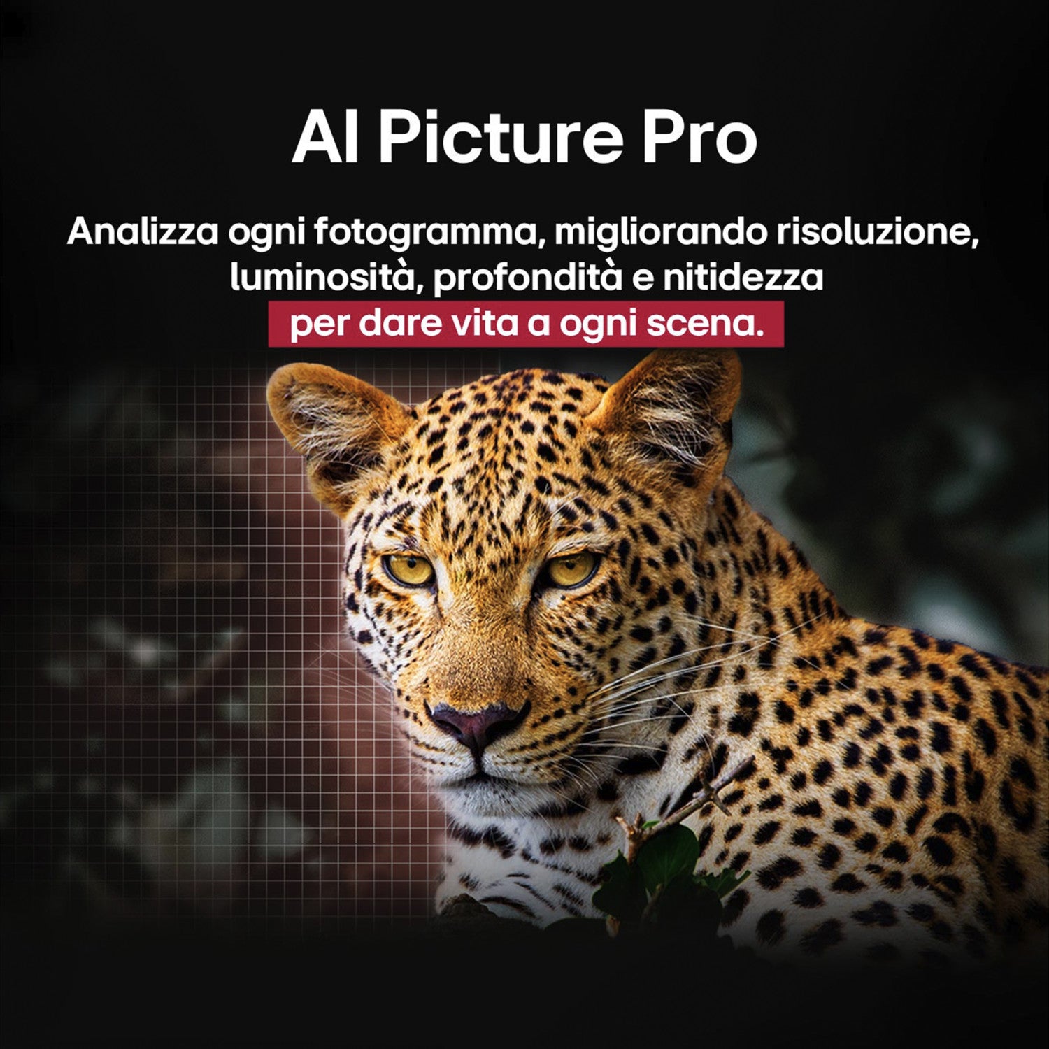 LG OLED evo AI OLED42C55LA TV Serie C5 42 pollici 4K, α9 Gen8, Dolby Vision, 20W, 4 HDMI, VRR 144Hz, Smart TV WebOS 25