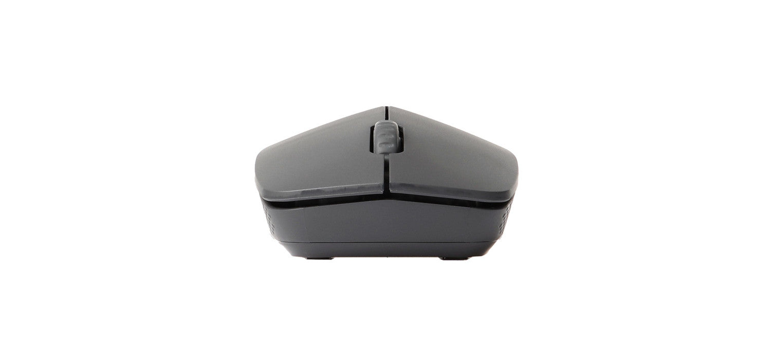 Rapoo M100 Silent mouse Ufficio Ambidestro RF senza fili Bluetooth Ottico 1000 DPI