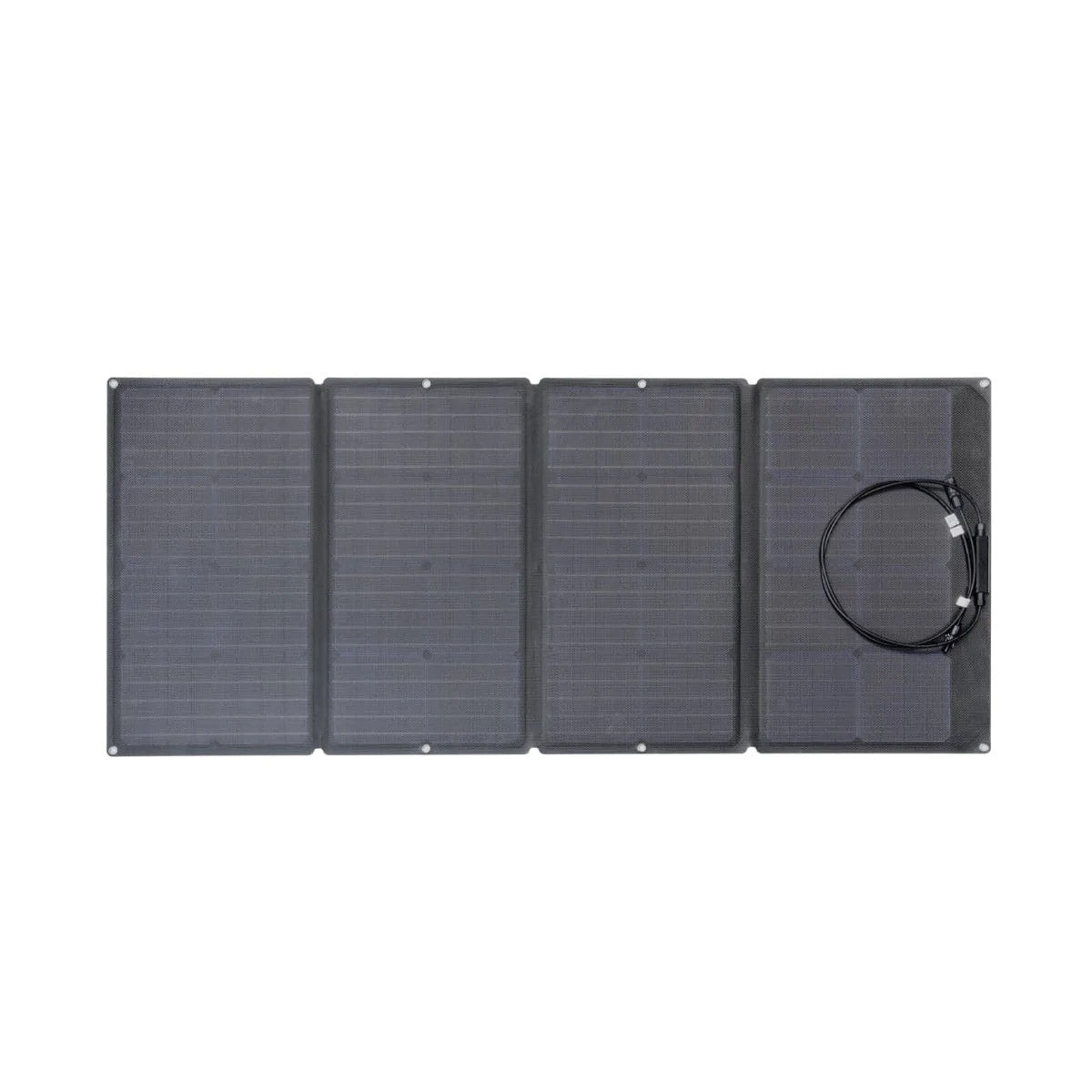 EcoFlow 50033001 Pannello Solare da 160W Pieghevole con Borsa Nero