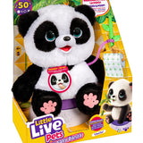 Rocco Giocattoli My Baby Panda