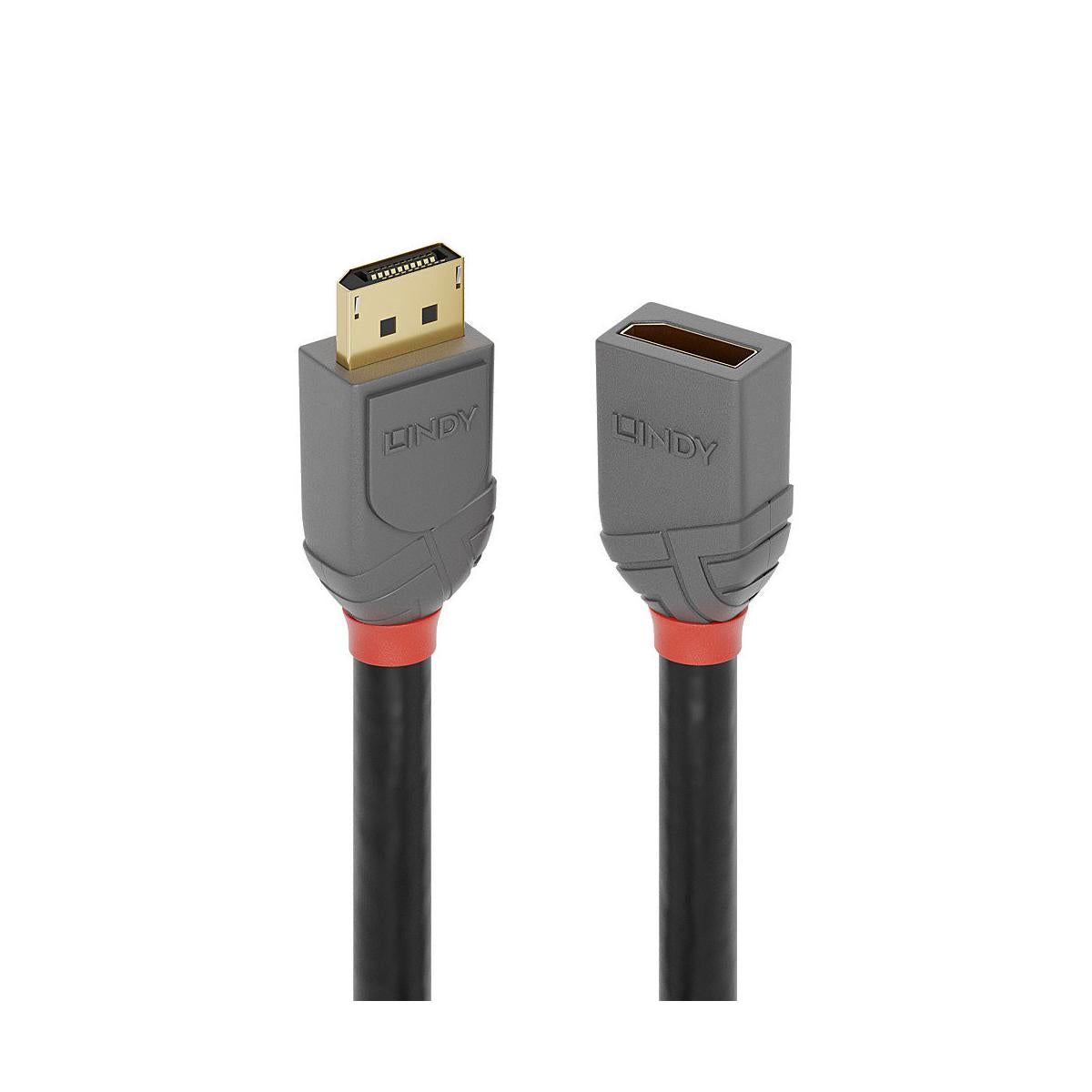 Lindy 36498 cavo DisplayPort 3 m Nero