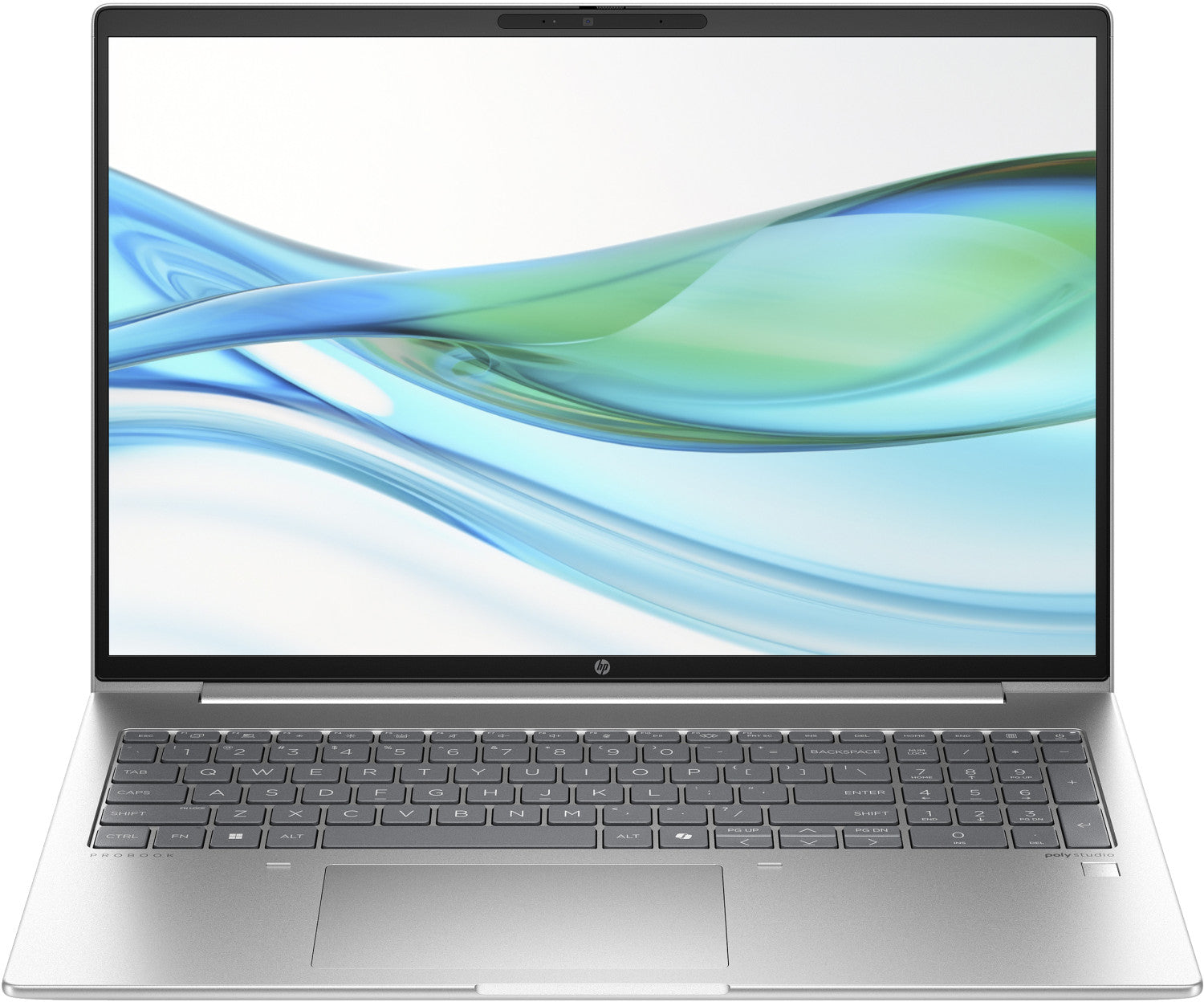 HP ProBook 460 G11 Intel Core Ultra 5 125U Computer portatile 40,6 cm (16") WUXGA 16 GB DDR5-SDRAM 512 GB SSD Wi-Fi 6E (802.11ax) Windows 11 Pro Argento