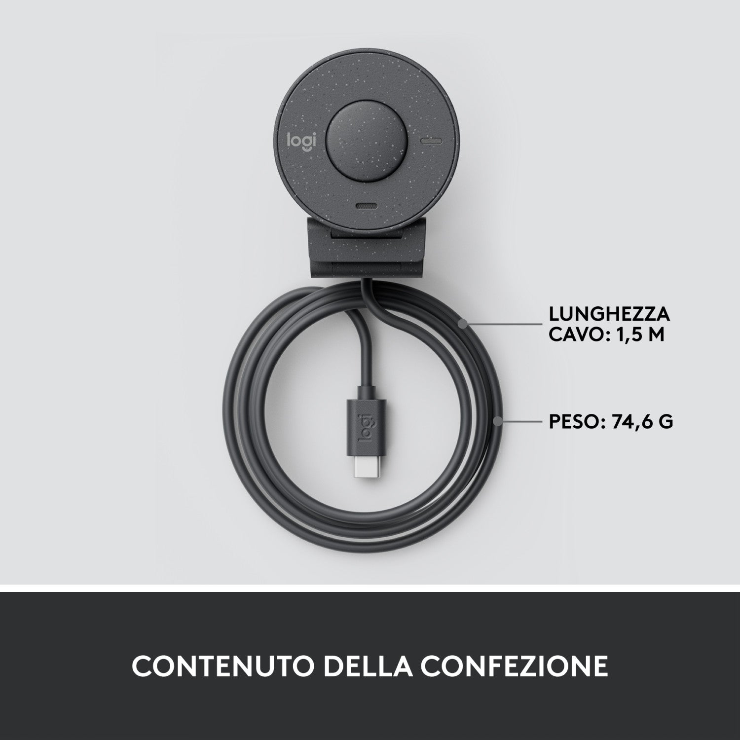Logitech Brio 300 Webcam 2 MP 1920 x 1080 Pixel USB-C Grafite