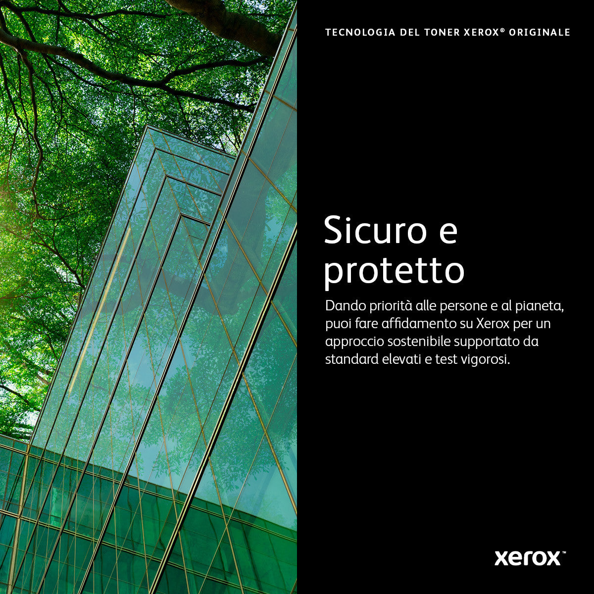 Xerox 106R04052 cartuccia toner 1 pz Originale