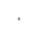 EDG Enzo De Gasperi Palma Areca Artificiale Con Vaso H150 Verde