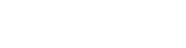 Digital Bros
