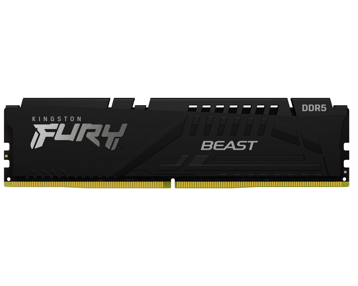 Kingston Technology FURY Beast memoria 1 x 16 GB