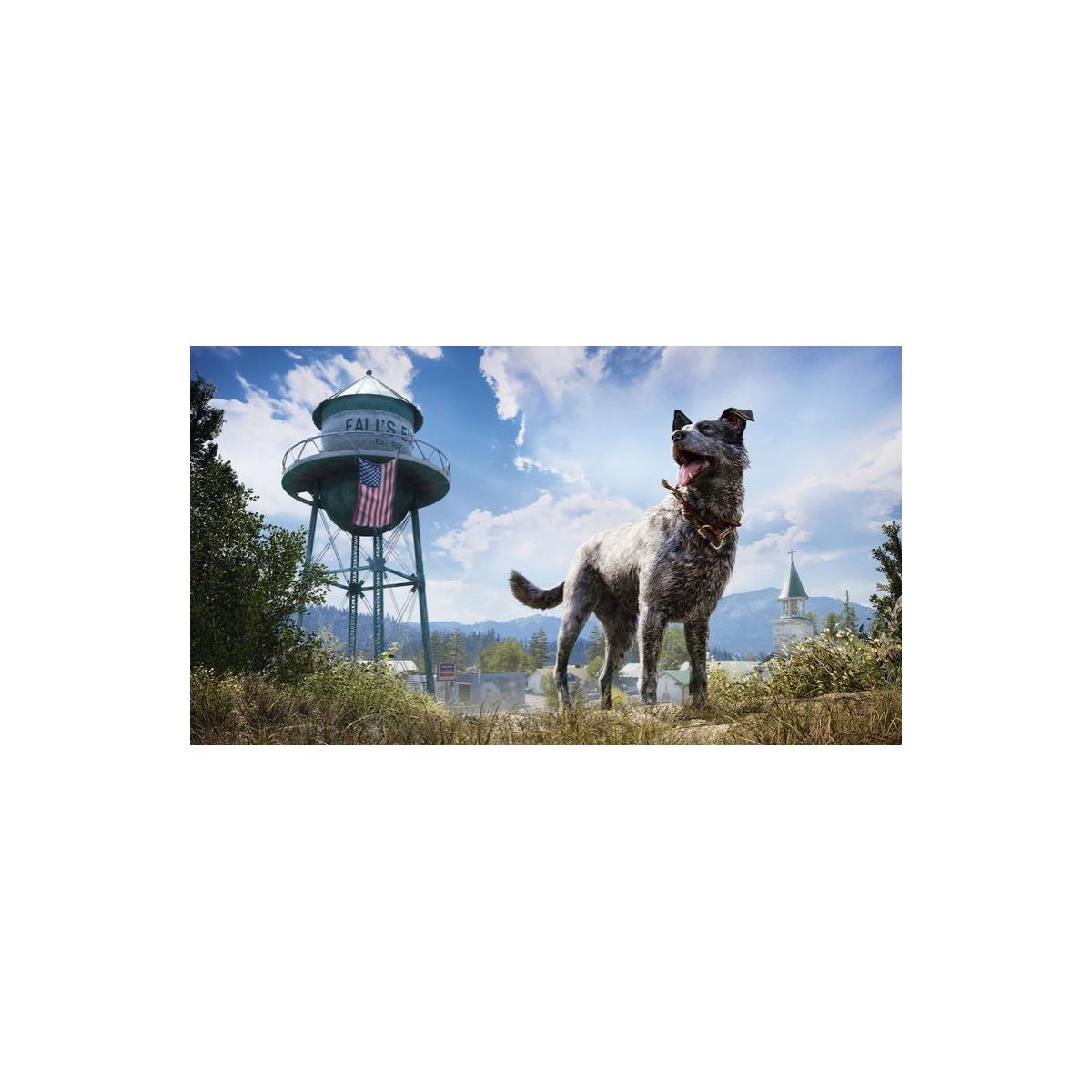 Ubisoft Far Cry 5 PS4 Standard Multilingua PlayStation 4