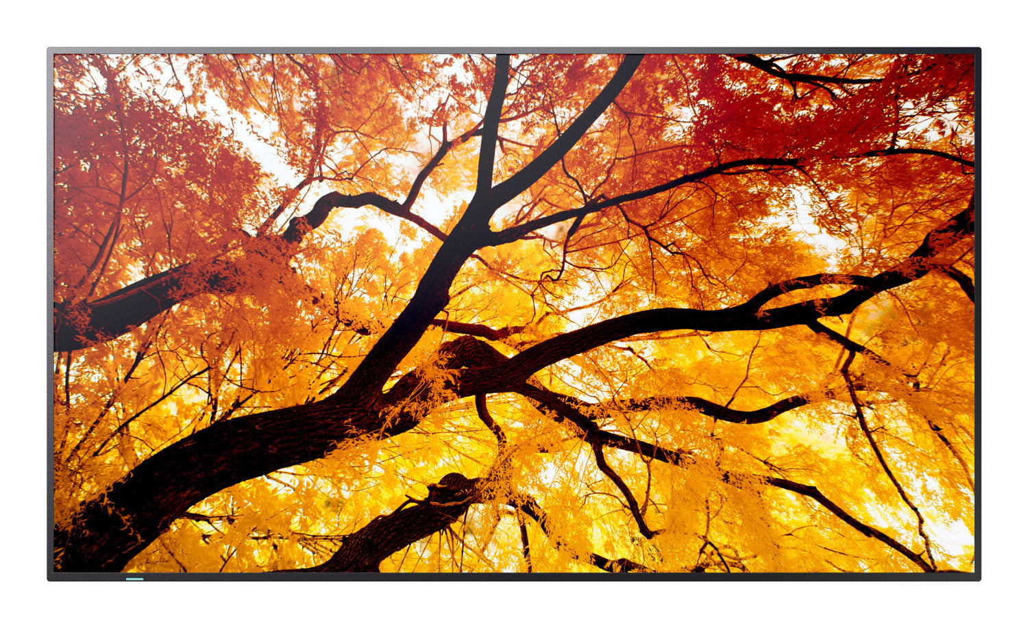 Sharp MultiSync M502 Pannello piatto per segnaletica digitale 127 cm (50") LCD 550 cd/m² 4K Ultra HD Nero 24/7
