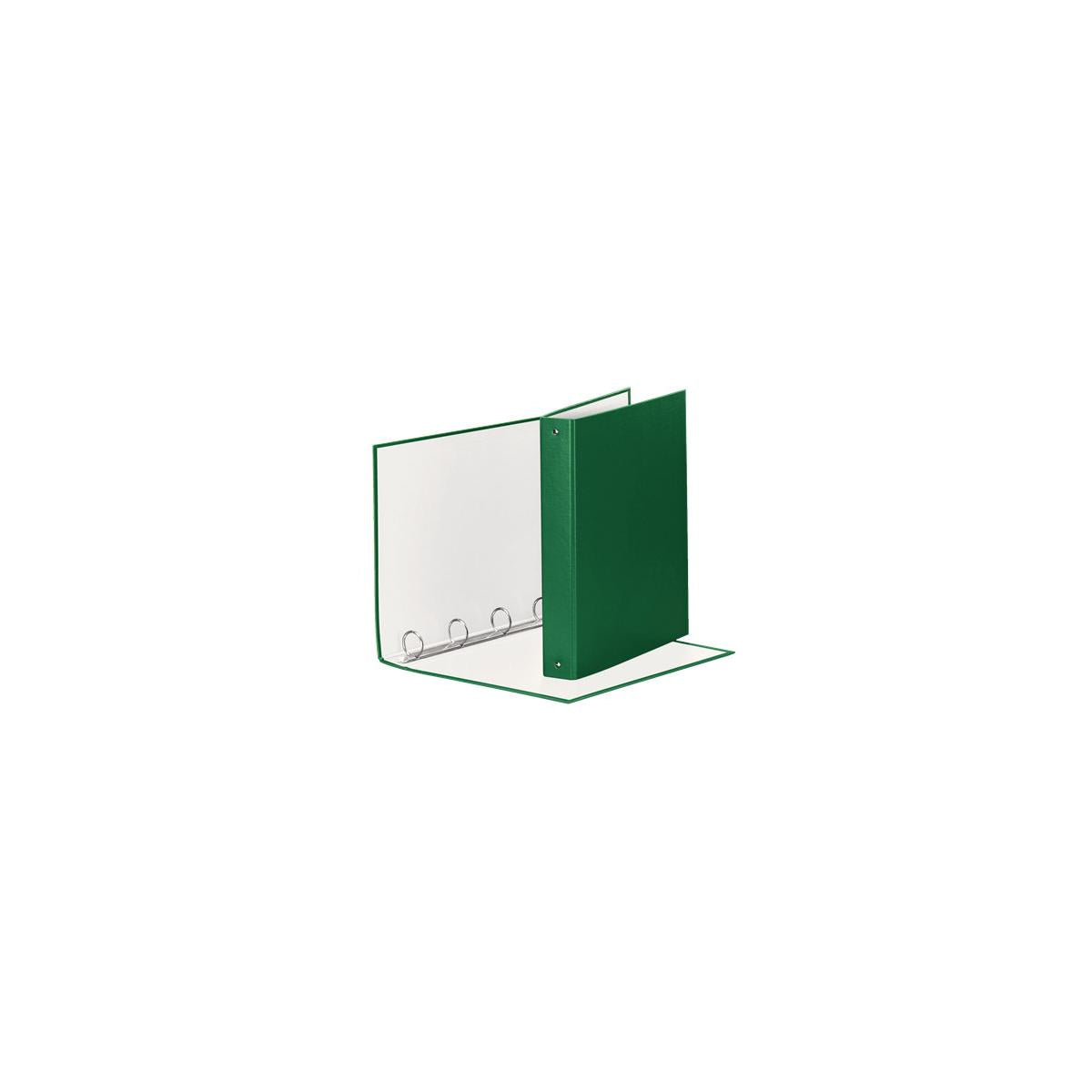 Esselte 395792600 raccoglitore ad anelli Verde