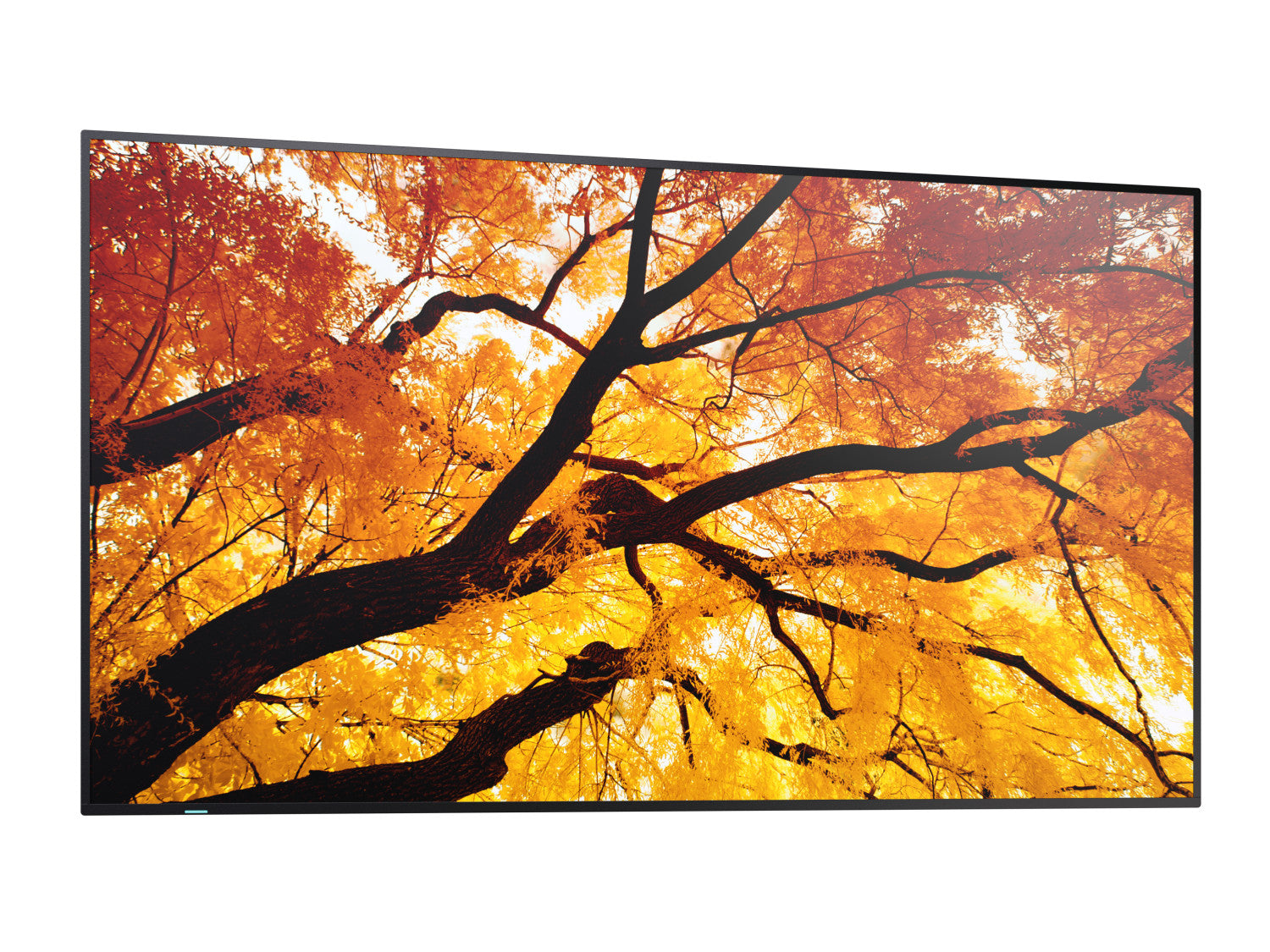 Sharp MultiSync M502 Pannello piatto per segnaletica digitale 127 cm (50") LCD 550 cd/m² 4K Ultra HD Nero 24/7