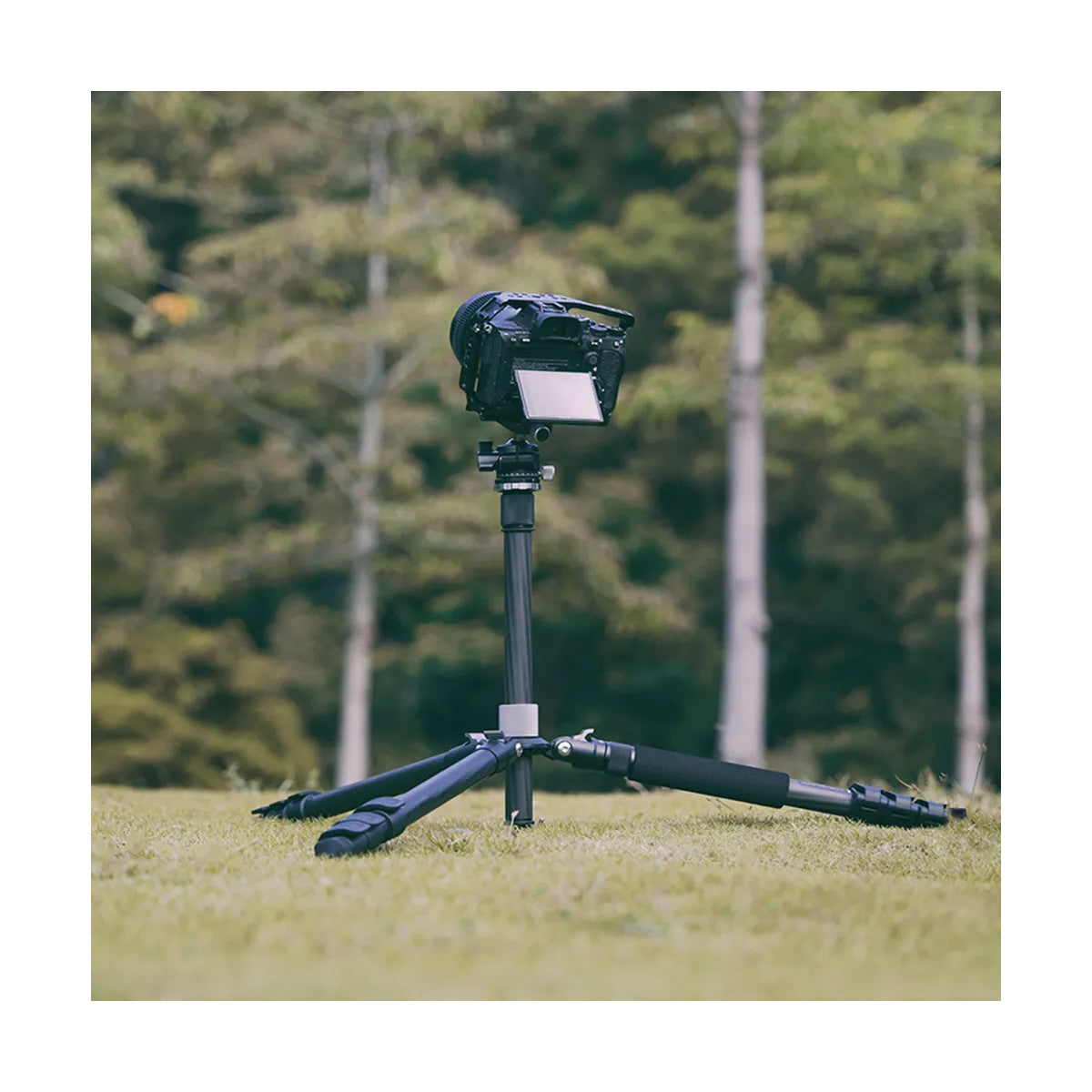 SmallRig 4059 treppiede Smartphone/macchina fotografica digitale 3 gamba/gambe Nero