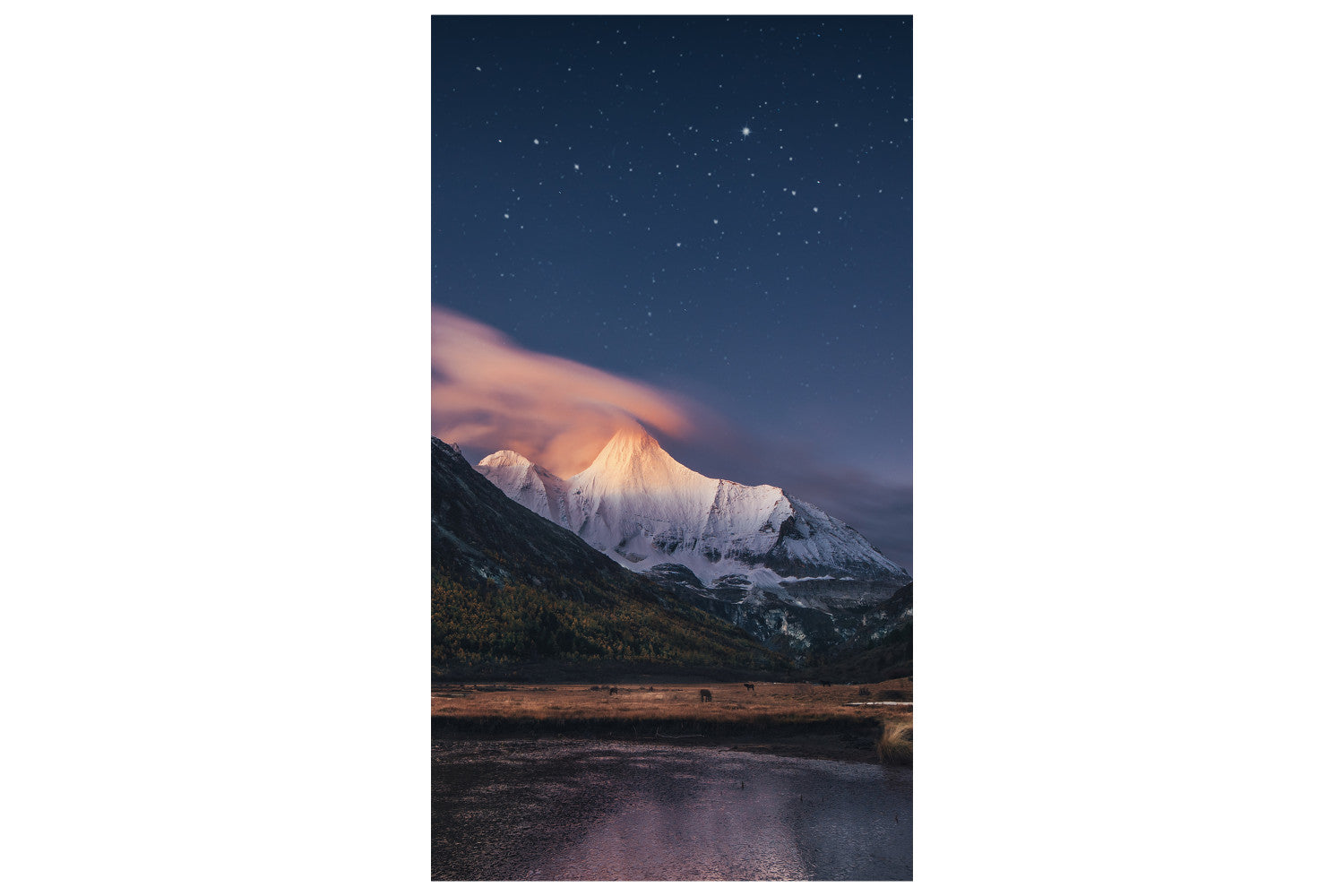 Samsung VH55R-R LCD Interno