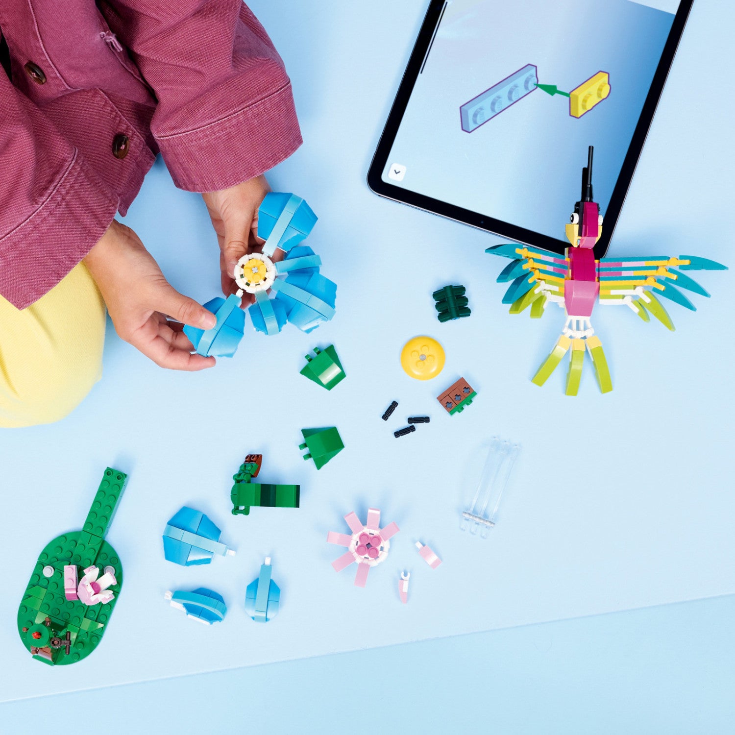 LEGO Creator 3 in 1 Animali Selvatici Colibrì Variopinto 31384 312 pezzi 8