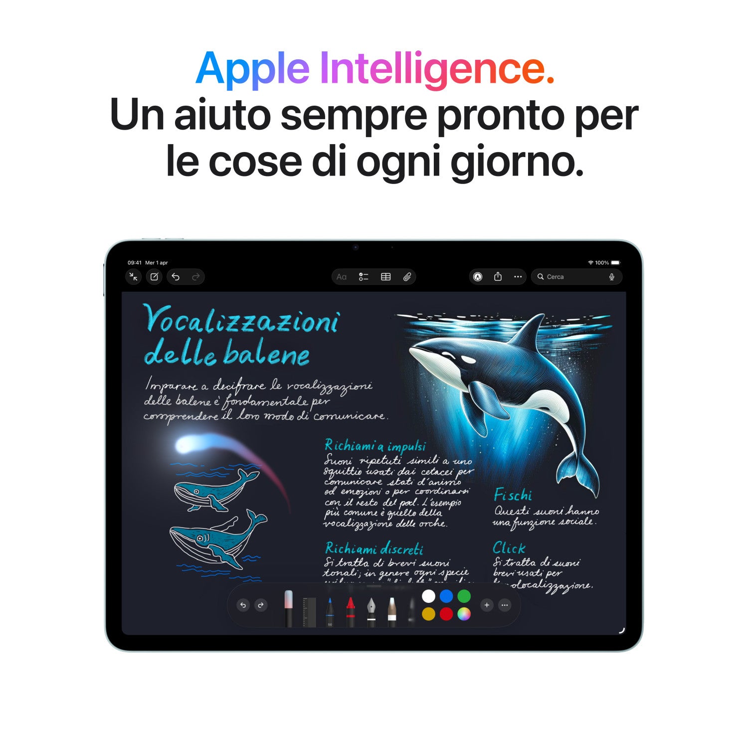 Apple iPad Air Apple M 512 GB 27,9 cm (11") 12 GB Wi-Fi 7 (802.11be) iPadOS 26 Blu